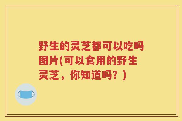 野生的灵芝都可以吃吗图片(可以食用的野生灵芝，你知道吗？)