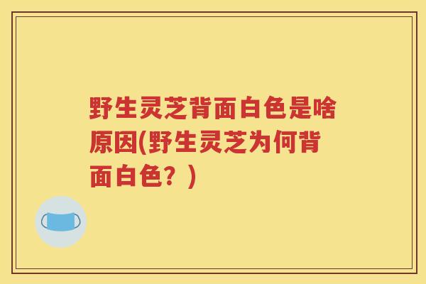 野生灵芝背面白色是啥原因(野生灵芝为何背面白色？)