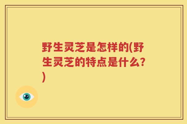 野生灵芝是怎样的(野生灵芝的特点是什么？)