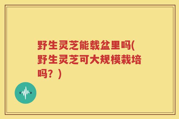 野生灵芝能载盆里吗(野生灵芝可大规模栽培吗？)