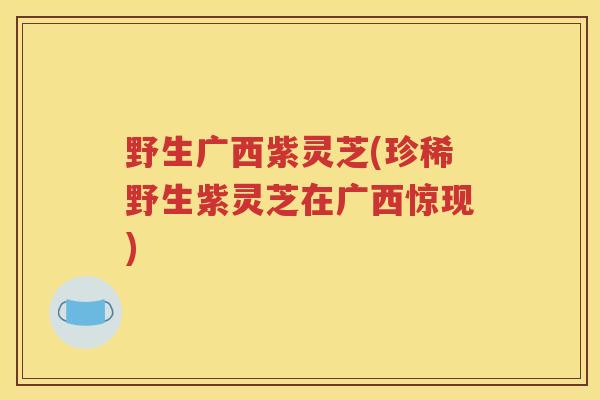 野生广西紫灵芝(珍稀野生紫灵芝在广西惊现)