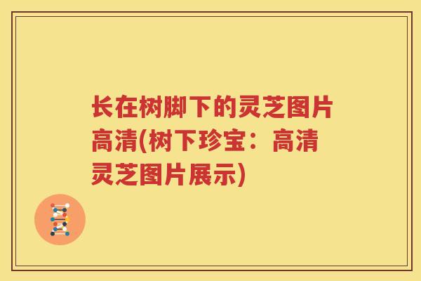 长在树脚下的灵芝图片高清(树下珍宝：高清灵芝图片展示)