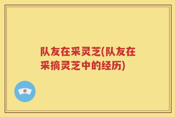 队友在采灵芝(队友在采摘灵芝中的经历)