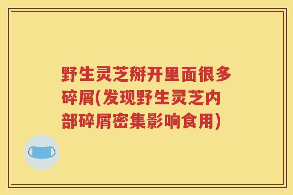 野生灵芝掰开里面很多碎屑(发现野生灵芝内部碎屑密集影响食用)
