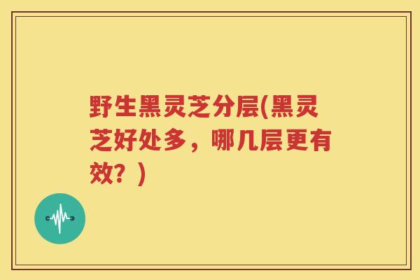 野生黑灵芝分层(黑灵芝好处多，哪几层更有效？)
