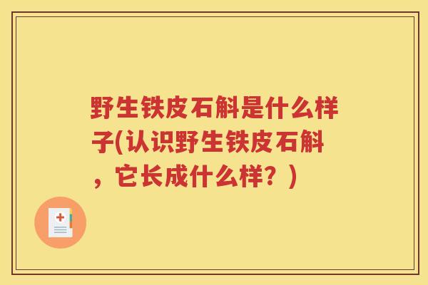 野生铁皮石斛是什么样子(认识野生铁皮石斛，它长成什么样？)