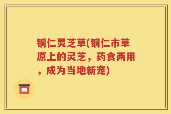 铜仁灵芝草(铜仁市草原上的灵芝，药食两用，成为当地新宠)