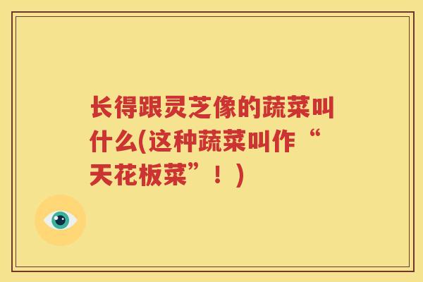长得跟灵芝像的蔬菜叫什么(这种蔬菜叫作“天花板菜”！)
