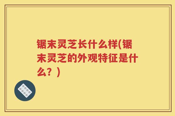 锯末灵芝长什么样(锯末灵芝的外观特征是什么？)