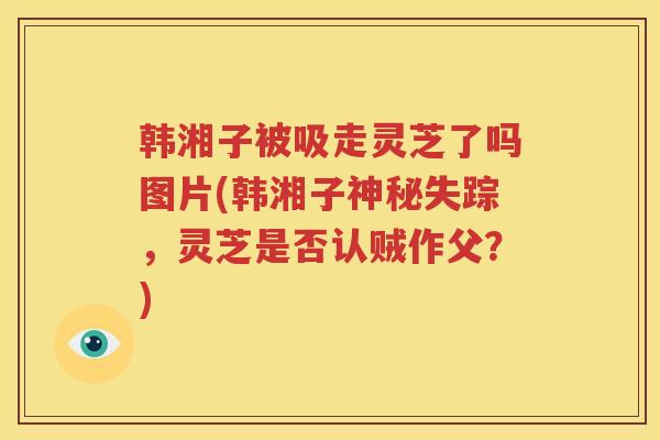 韩湘子被吸走灵芝了吗图片(韩湘子神秘失踪，灵芝是否认贼作父？)