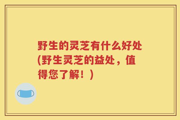野生的灵芝有什么好处(野生灵芝的益处，值得您了解！)