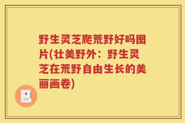 野生灵芝爬荒野好吗图片(壮美野外：野生灵芝在荒野自由生长的美丽画卷)