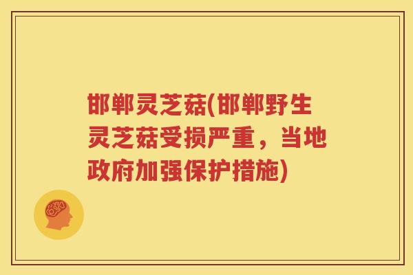 邯郸灵芝菇(邯郸野生灵芝菇受损严重，当地政府加强保护措施)
