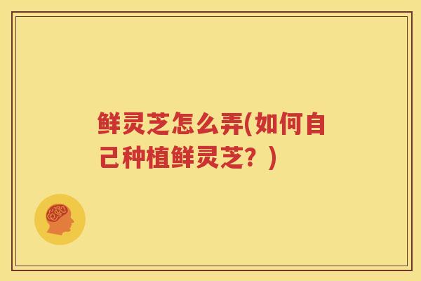 鲜灵芝怎么弄(如何自己种植鲜灵芝？)