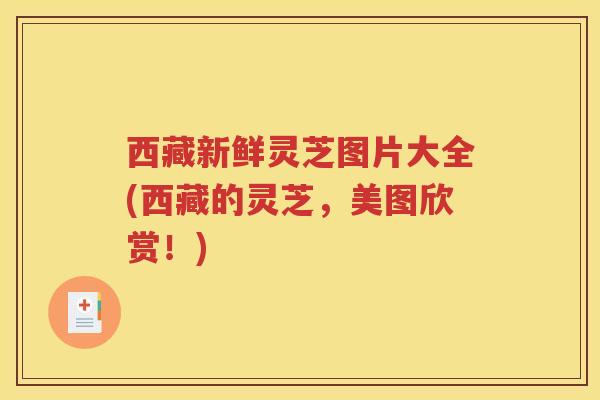 西藏新鲜灵芝图片大全(西藏的灵芝，美图欣赏！)
