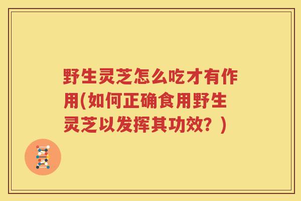 野生灵芝怎么吃才有作用(如何正确食用野生灵芝以发挥其功效？)