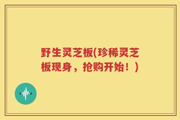 野生灵芝板(珍稀灵芝板现身，抢购开始！)