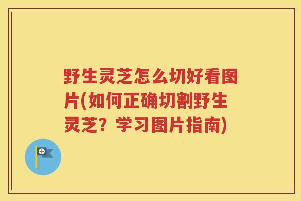 野生灵芝怎么切好看图片(如何正确切割野生灵芝？学习图片指南)