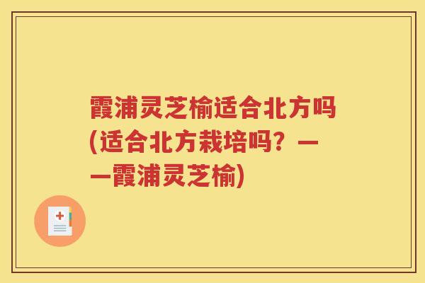 霞浦灵芝榆适合北方吗(适合北方栽培吗？——霞浦灵芝榆)