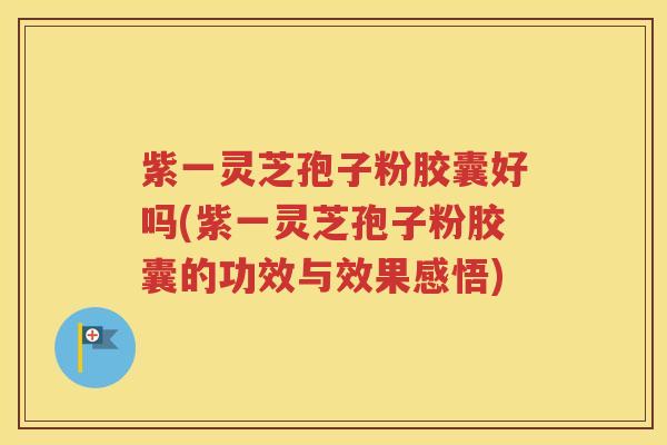 紫一灵芝孢子粉胶囊好吗(紫一灵芝孢子粉胶囊的功效与效果感悟)