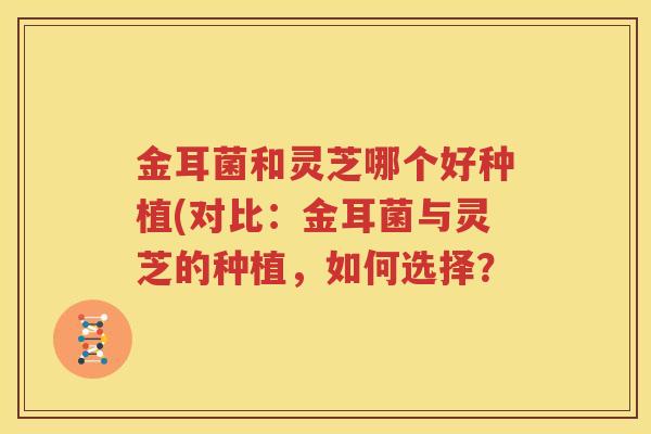金耳菌和灵芝哪个好种植(对比：金耳菌与灵芝的种植，如何选择？
