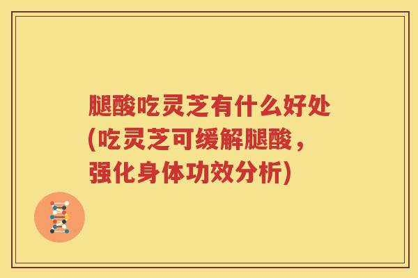 腿酸吃灵芝有什么好处(吃灵芝可缓解腿酸，强化身体功效分析)