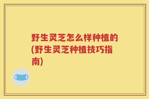 野生灵芝怎么样种植的(野生灵芝种植技巧指南)