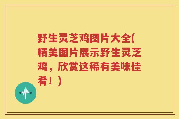 野生灵芝鸡图片大全(精美图片展示野生灵芝鸡，欣赏这稀有美味佳肴！)