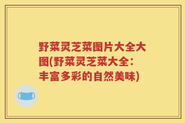 野菜灵芝菜图片大全大图(野菜灵芝菜大全：丰富多彩的自然美味)