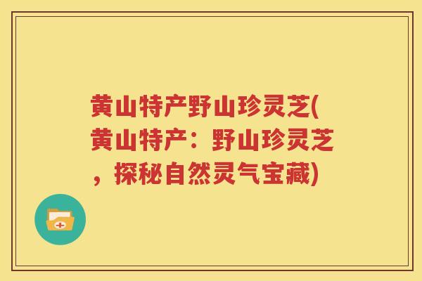 黄山特产野山珍灵芝(黄山特产：野山珍灵芝，探秘自然灵气宝藏)