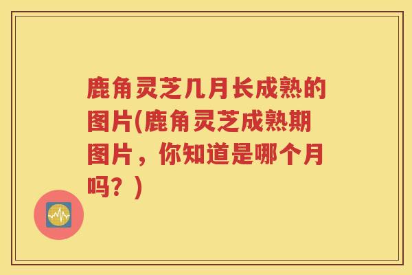 鹿角灵芝几月长成熟的图片(鹿角灵芝成熟期图片，你知道是哪个月吗？)