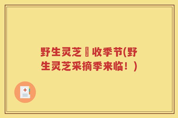 野生灵芝釆收季节(野生灵芝采摘季来临！)