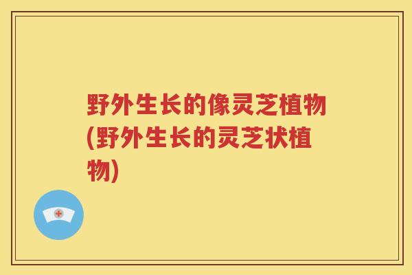 野外生长的像灵芝植物(野外生长的灵芝状植物)