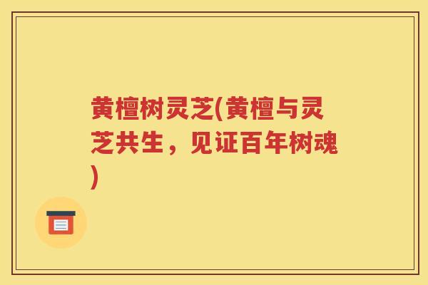 黄檀树灵芝(黄檀与灵芝共生，见证百年树魂)