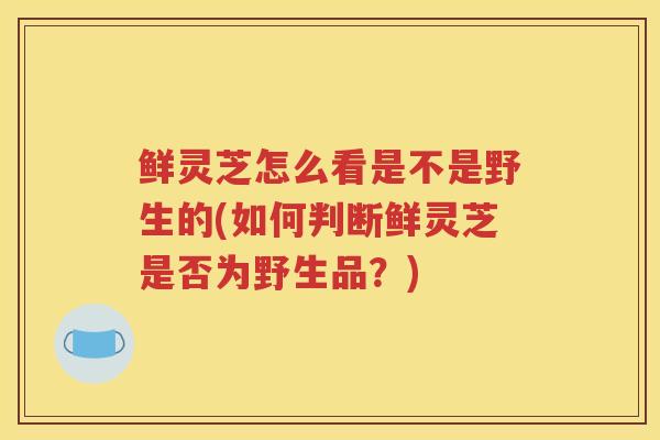 鲜灵芝怎么看是不是野生的(如何判断鲜灵芝是否为野生品？)