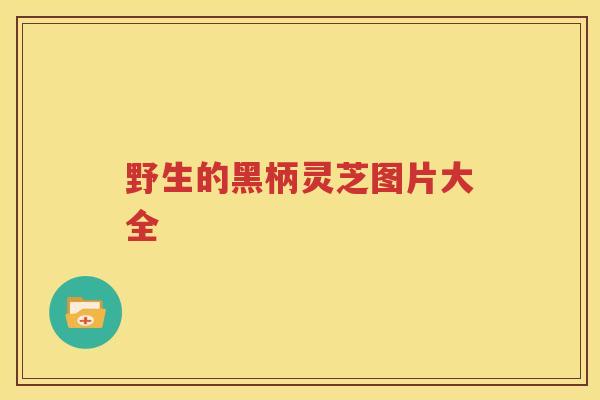 野生的黑柄灵芝图片大全