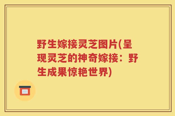 野生嫁接灵芝图片(呈现灵芝的神奇嫁接：野生成果惊艳世界)