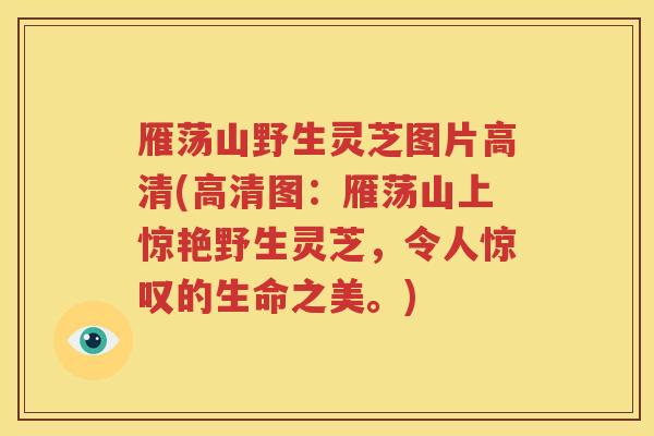 雁荡山野生灵芝图片高清(高清图：雁荡山上惊艳野生灵芝，令人惊叹的生命之美。)