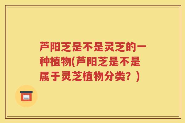 芦阳芝是不是灵芝的一种植物(芦阳芝是不是属于灵芝植物分类？)