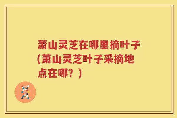 萧山灵芝在哪里摘叶子(萧山灵芝叶子采摘地点在哪？)