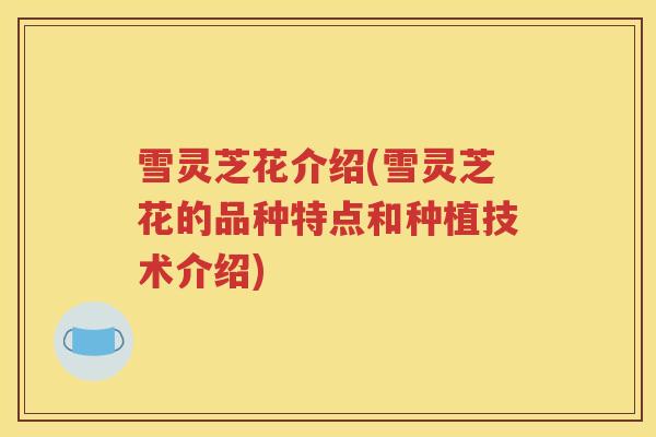 雪灵芝花介绍(雪灵芝花的品种特点和种植技术介绍)