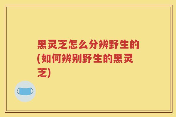 黑灵芝怎么分辨野生的(如何辨别野生的黑灵芝)