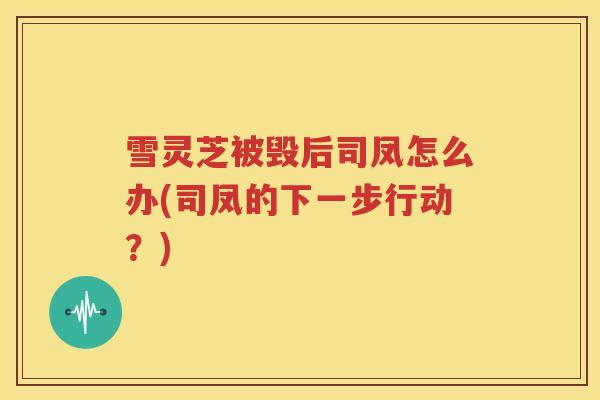 雪灵芝被毁后司凤怎么办(司凤的下一步行动？)