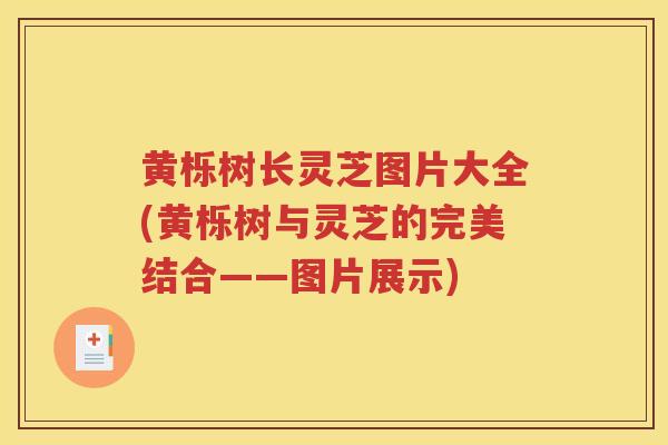 黄栎树长灵芝图片大全(黄栎树与灵芝的完美结合——图片展示)