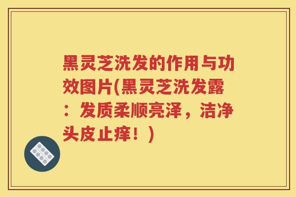 黑灵芝洗发的作用与功效图片(黑灵芝洗发露：发质柔顺亮泽，洁净头皮止痒！)