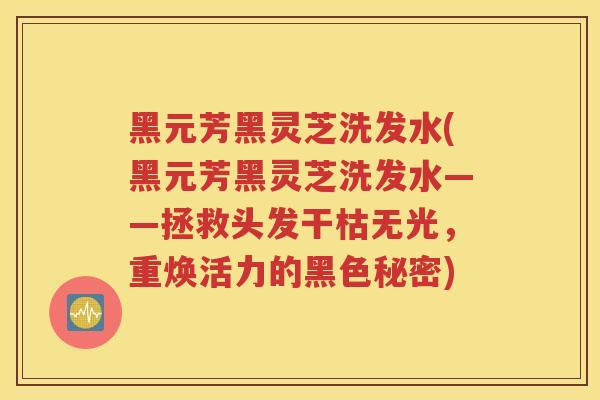 黑元芳黑灵芝洗发水(黑元芳黑灵芝洗发水——拯救头发干枯无光，重焕活力的黑色秘密)