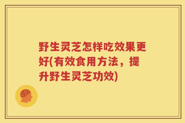 野生灵芝怎样吃效果更好(有效食用方法，提升野生灵芝功效)