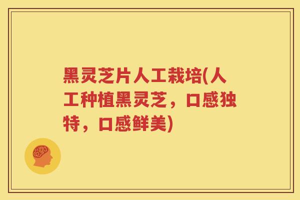 黑灵芝片人工栽培(人工种植黑灵芝，口感独特，口感鲜美)