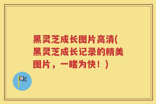 黑灵芝成长图片高清(黑灵芝成长记录的精美图片，一睹为快！)