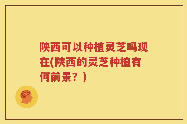 陕西可以种植灵芝吗现在(陕西的灵芝种植有何前景？)
